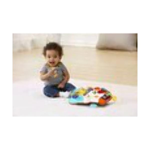 Vtech 505603 Baby Walker, Multi-Coloured, Multicolor