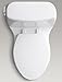 Kohler 3810-96 Santa Rosa Comfort Height Elongated 1.28 GPF Toilet with AquaPiston Flush Technology and Left-Hand Trip Lever, Biscuit, 12 inch