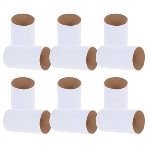 TEHAUX 12pcs DIY Paper Tubes Blank Paper Tubes for Crafts Art Projects Toilet