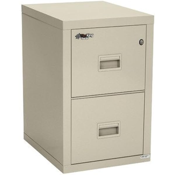 Amazon Com Fireproof 2 Drawer Vertical File Finish Parchment Vertical File Cabinets Office Products
