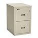 Fireproof 2-Drawer Vertical File Finish: Parchment