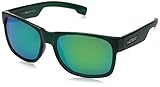 Hobie Dogpatch Wayfarer Polarized Sunglasses