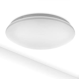 LED Plafondlamp Como 12W IP44 980lm | Neutraal wit 4000K | plafondverlichting rond badkamer gang trappenhuis WC 27cm…
