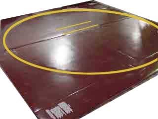 Wrestling Mat - Remnant, 12'x12' (Two 6'x12' Pieces), Mat:Royal Blue, Markings:Metallic Silver, 1.25" - Two Pieces