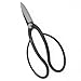 Kotobuki Slim Ohkubo Flower Arranging Shears