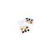 Dozen Mini Kids Watercolor Paint Sets with Brush