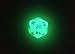 Glow in The Dark d20 Initiative Advantage Die for Role-Playing Games. 20 Sided RPG Dice.