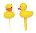 Yellow Duck Ducky Duckie Cupcake Picks Cake Topper Decorations (24-Pack) primary