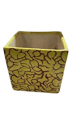 Root Style Design Ceramic Planter Size 3.5 x 3.6 x 4 (680 gm) by PVV Collections