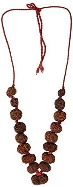 Jewelswonder 100% Original & Natural 1 to 14 Face Combined All Tpye Like Study,Bussiness,etc Mala with JGL Lab Certified