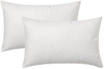 Amazon Com Rsh Decor Set Of 2 Pillow Inserts Rectangle Lumbar