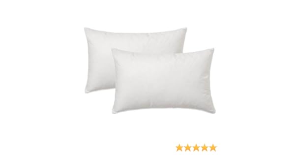 Amazon Com Rsh Decor Set Of 2 Pillow Inserts Rectangle Lumbar