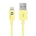 [Apple MFI Certified] 1byone Lightning to USB Cable 3.3 Feet (1 Meter) for iPhone 7 7 Plus 6s 6 Plus 5s 5c 5, iPad mini, iPad Air, iPad Pro, iPod touch 6th Gen/nano 7th Gen, Yellow