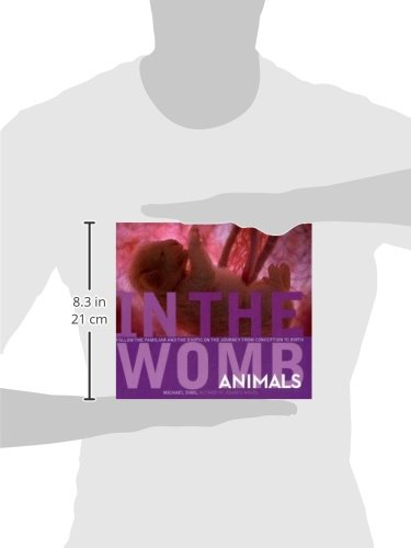 Showtime Full Animals In The Womb Online Free