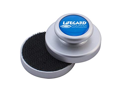Lifegard Aquatics Full-View 7 Gallon Aquarium with LED Light, Heater, Net, Algae Magnet & Built-in Back Filter with Pump - Thumbnail 3