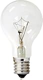 GE Lighting 74037 40-Watt 320-Lumen Decorative A15 Incandescent Light Bulb, Crystal Clear, 2-Pack