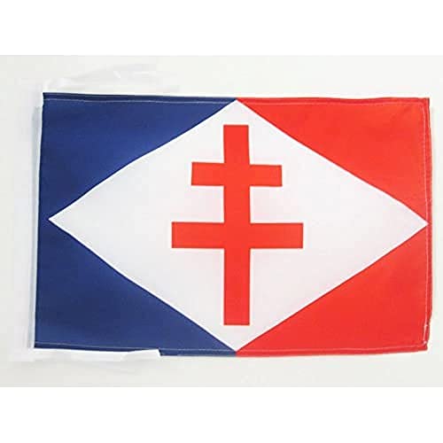 Free French Naval Forces