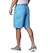 Columbia Men's Bonehead II Shorts