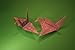 Geometric Origami Kit: The Art of Modular Paper Sculpture: This Kit Contains an Origami Book with 48 Modular Origami Papers and an Instructional DVD