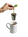 Arta Tea Leaf Infuser