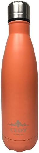 Double Wall Vacuum Insulated Stainless Steel Travel Sports Water Bottle Leak-proof No Sweating Keeps Drinks Hot &amp; Cold Perfect for Outdoor Multiple Colors 17oz(500ml) (Orange)