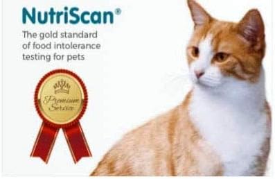 pets at home cat food offers