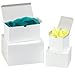 HOLIDAY TIME White Assorted Size Gift Wrap Packaging - 20 Pack Boxes