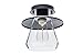 GLOBE Electric 64846 1-Light Semi-Flush Mount Ceiling Light, Oil Rubbed Bronze, Clear Glass Shade, Ceiling Light Fixture, Bedroom Lights for Ceiling, Dining Light Fixture, Bulb Not Included