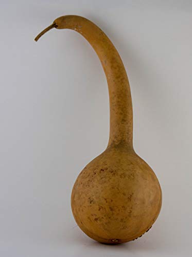 Dipper Gourd Craft Ready