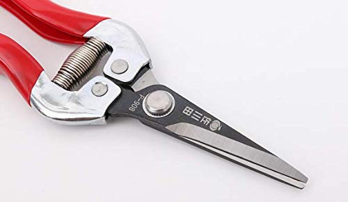 Tesinll Pruning Shears, Florist Scissors, Long and Straight Head