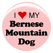 1" Dog "I Love My Bernese Mountain Dog" Button/Pin