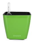 Aquaphoric Self Watering Planter (5") + Fiber Soil = Foolproof Indoor Home Garden. Decorative Planter Pot for All Plants, Flowers, Herbs, African