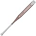 Axe Bat 2019 Element (-12) Fastpitch Softball Bat-32 inch/20 oz