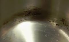 Review Image by Trevor Trevor