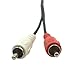 LEMENG 5 Pin Din Female to 2 RCA Male Professional Grade Audio Cable for Bang & Olufsen, Naim, Quad.Stereo Systems (1ft)
