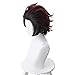 Demon Slayer Kimetsu no Yaiba Tanjiro Kamado Cosplay Wig Cosplay Costume Hair Red