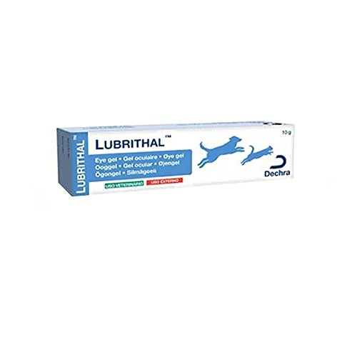 Lubrithal Eye Gel x 1 Amazon.co.uk Pet Supplies