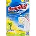 DampRid Hanging Moisture Absorber Citrus Fresh - 3 PK, 3 Boxes