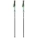 Terra Hiker Hiking Stick Adjustable Trekking Pole, Collapsible Lightweight Hiking Pole with Lever Lock & Carry Sack for Camping, Hiking, 2-Piece