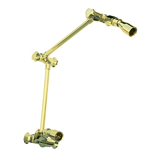 Gold Pvd Brass 90 Fine Mist Jets Showerhead Only Renovator's