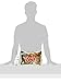 TWIX Caramel Fun Size Chocolate Cookie Bar Candy 22.34-Ounce Bag (Pack of 2)