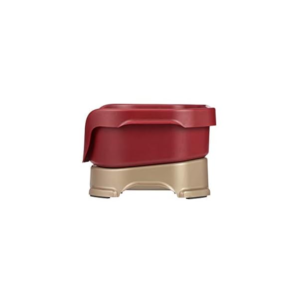 Small Dog Deluxe Neater Feeder - Image 4