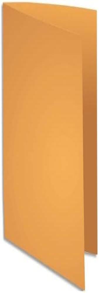 Exacompta - Ref 210026E - Rocks Square Cut Folder - 240 x 320mm in Size, Suitable for Holding A4 Documents, 210gsm Coloured Card - Orange Colour (Pack of 100)