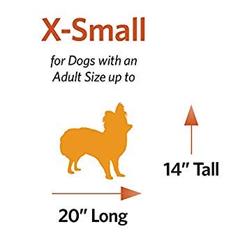 dog crate starter kit