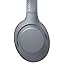 Sony WH-XB900N Extra Bass Wireless Bluetooth Noise Canceling Headphones, Gray (Renewed)