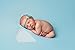 PoseBaby PRO Newborn Photography Butterfly Poser | 2 Piece Wedge & Butterfly Positioner for Posing Baby | #1 Professional Posing Aid | Baby Photo Prop & Pose Pillow | Bean Filling NOT Included