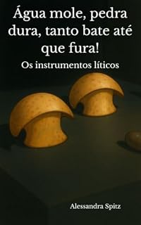 Livro Água mole, pedra dura, tanto bate até que fura!: Os instrumentos líticos (Arqueologia Livro 3)