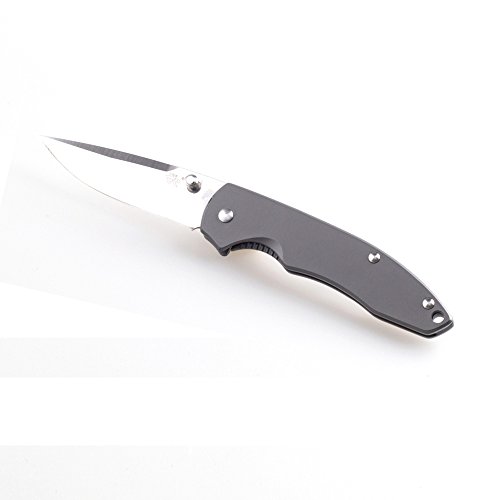 Sanrenmu 7073 folding hunting knife EDC pocket knife 613 Liner Lock 70mm/2.76" fruit tools knife
