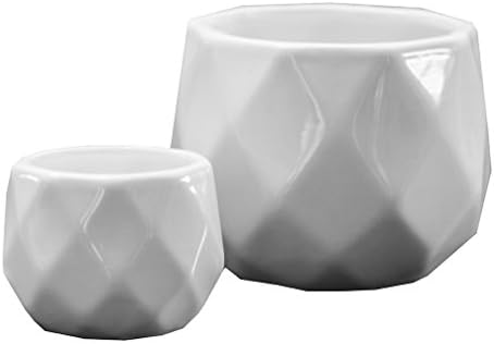 2 Inch &amp; 3 Inch Pair of White Geometric Ceramic Succulent Planters