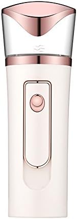 HF morning Nano Ionic Deep Hydrating Face Humidifier Portable Handheld Moisturizing Skin Care Pore Cleaner Sprayer Steam Atomizer Portable SPA (White)